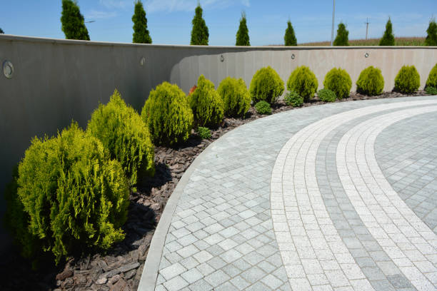 Best Professional Driveway Pavers  in Clinton, IA